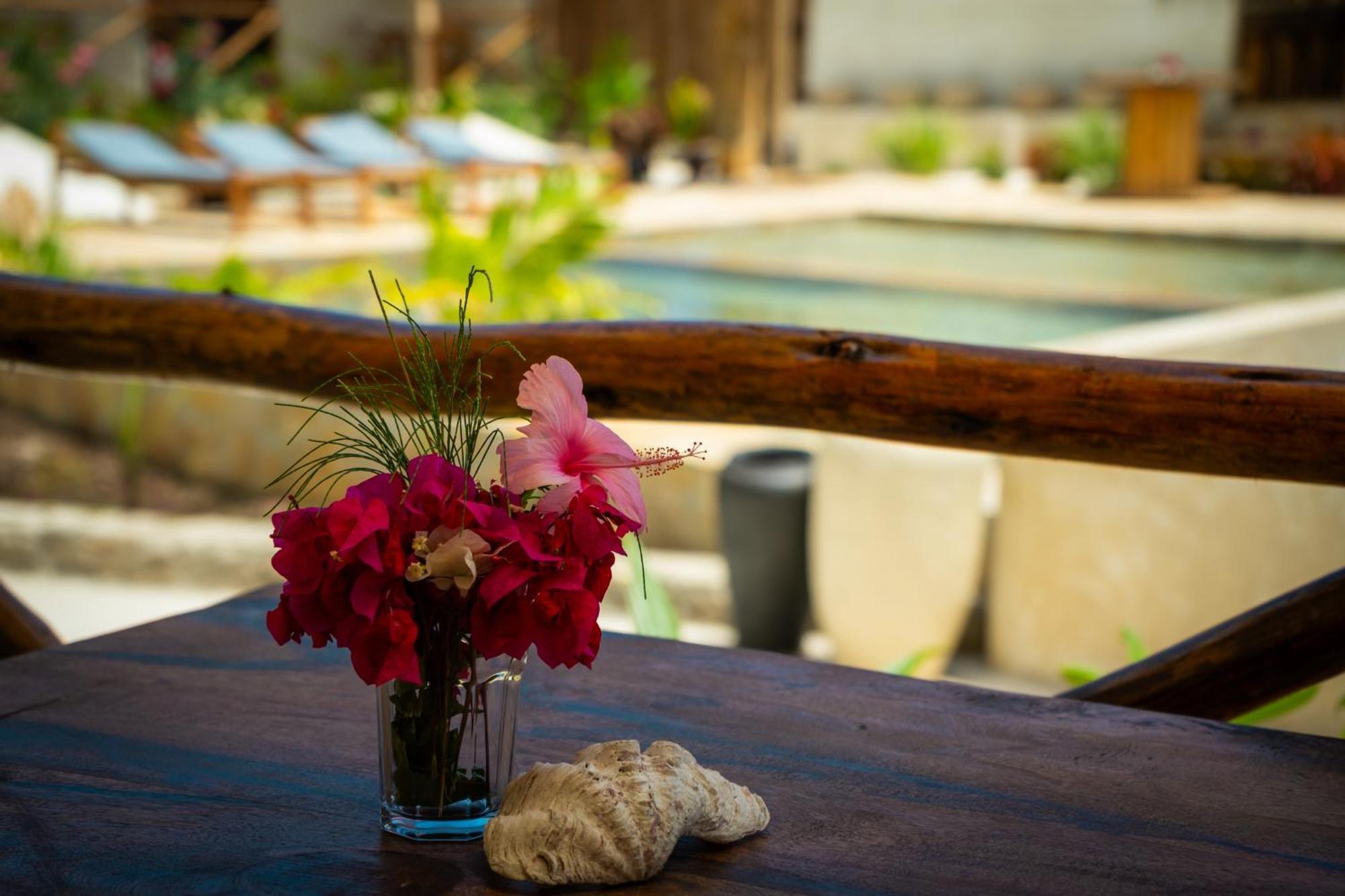 Blooming Zanzibar Jambiani (Zanzibar) Exterior foto