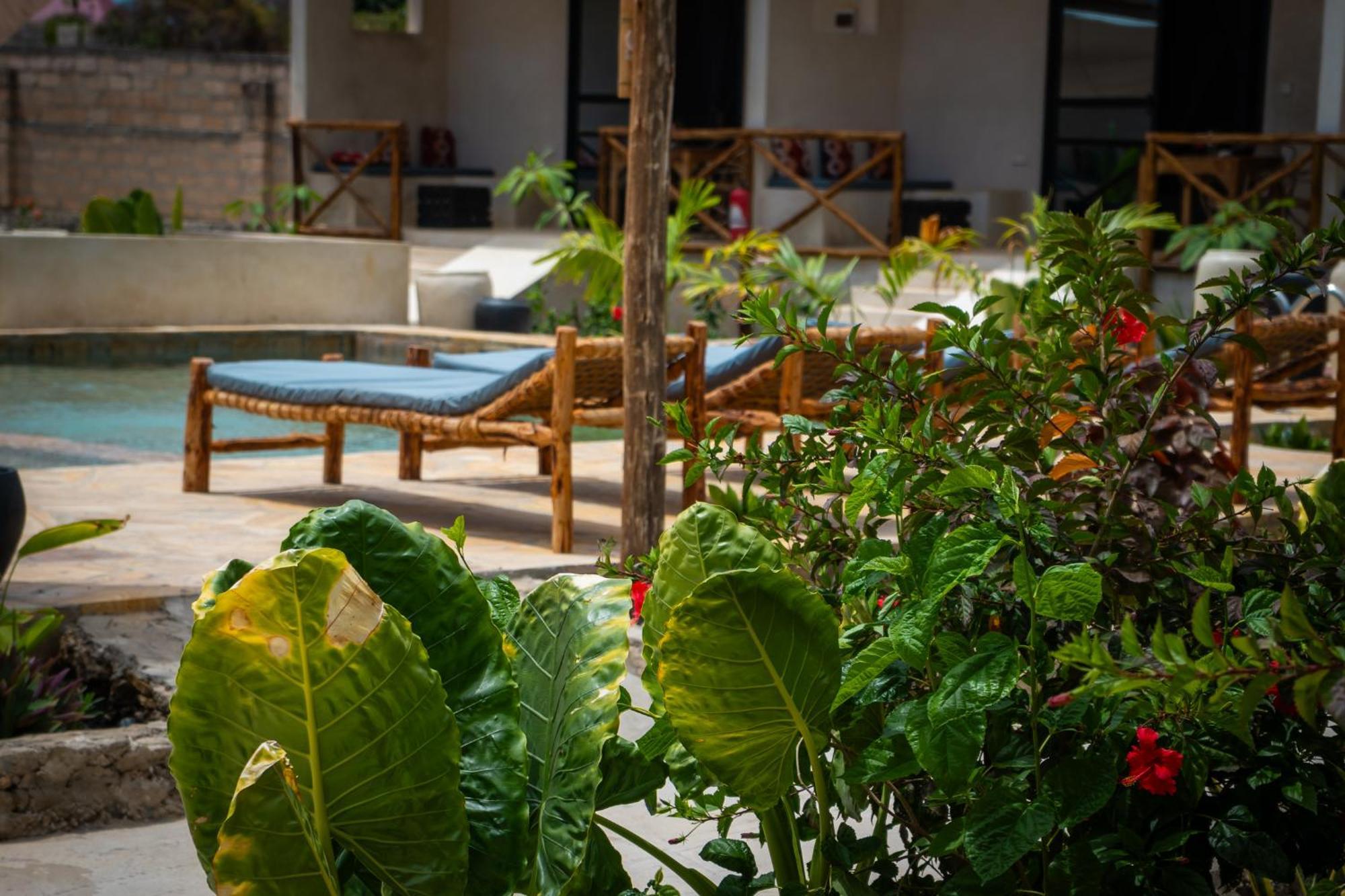 Blooming Zanzibar Jambiani (Zanzibar) Exterior foto